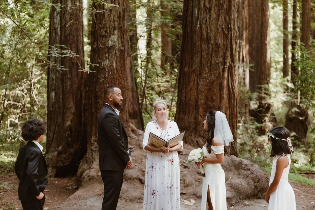 Redwood Forest Wedding